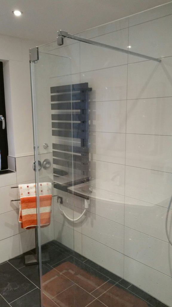 Duschabtrennung aus Glas, zu sehen ist noch ein Handtuchhalter und ein platzsparender Heizkörper in braun